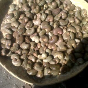 Raw Cashew Nut