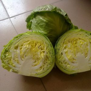 Fresh Cabbage