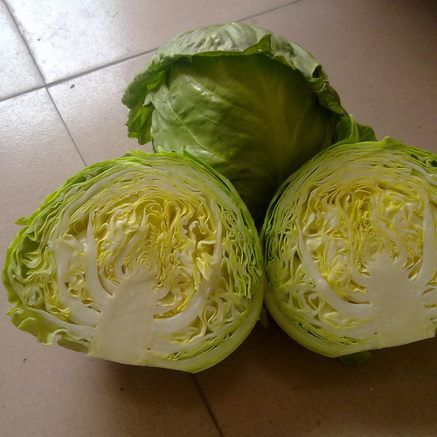 Fresh Cabbage