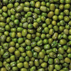 Green Mung Bean