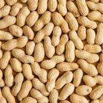Peanut Kernel
