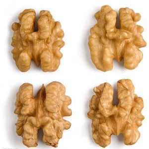 Walnut Kernel