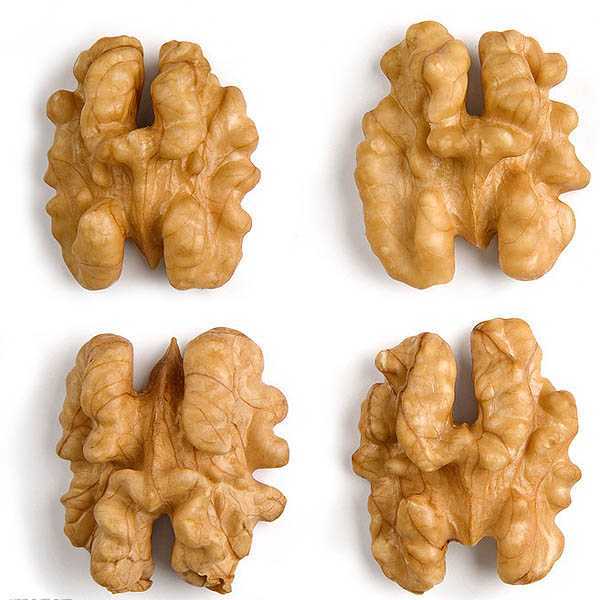 Walnut Kernel