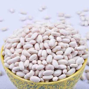 White Beans