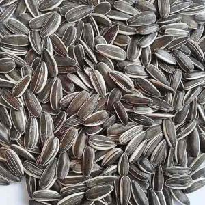 Sunflower Seeds