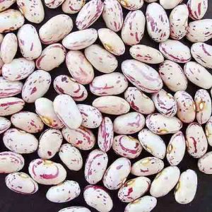 Light Speckled Kidney Beans