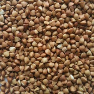 roasted buckwheat kernel