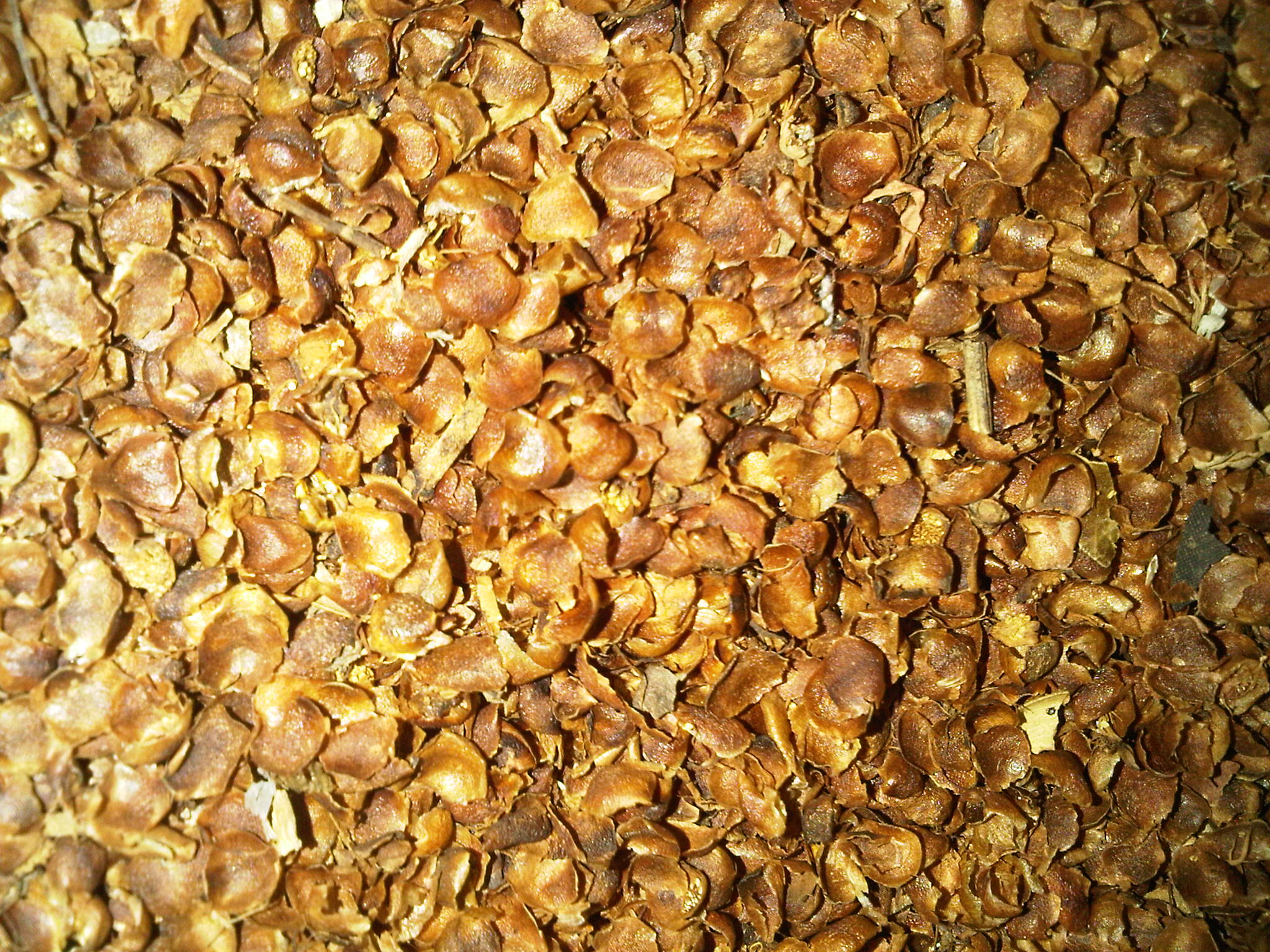 Clove Dust