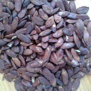 Whole Java Almond
