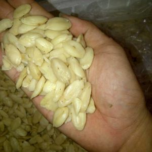Java Almond Peeled