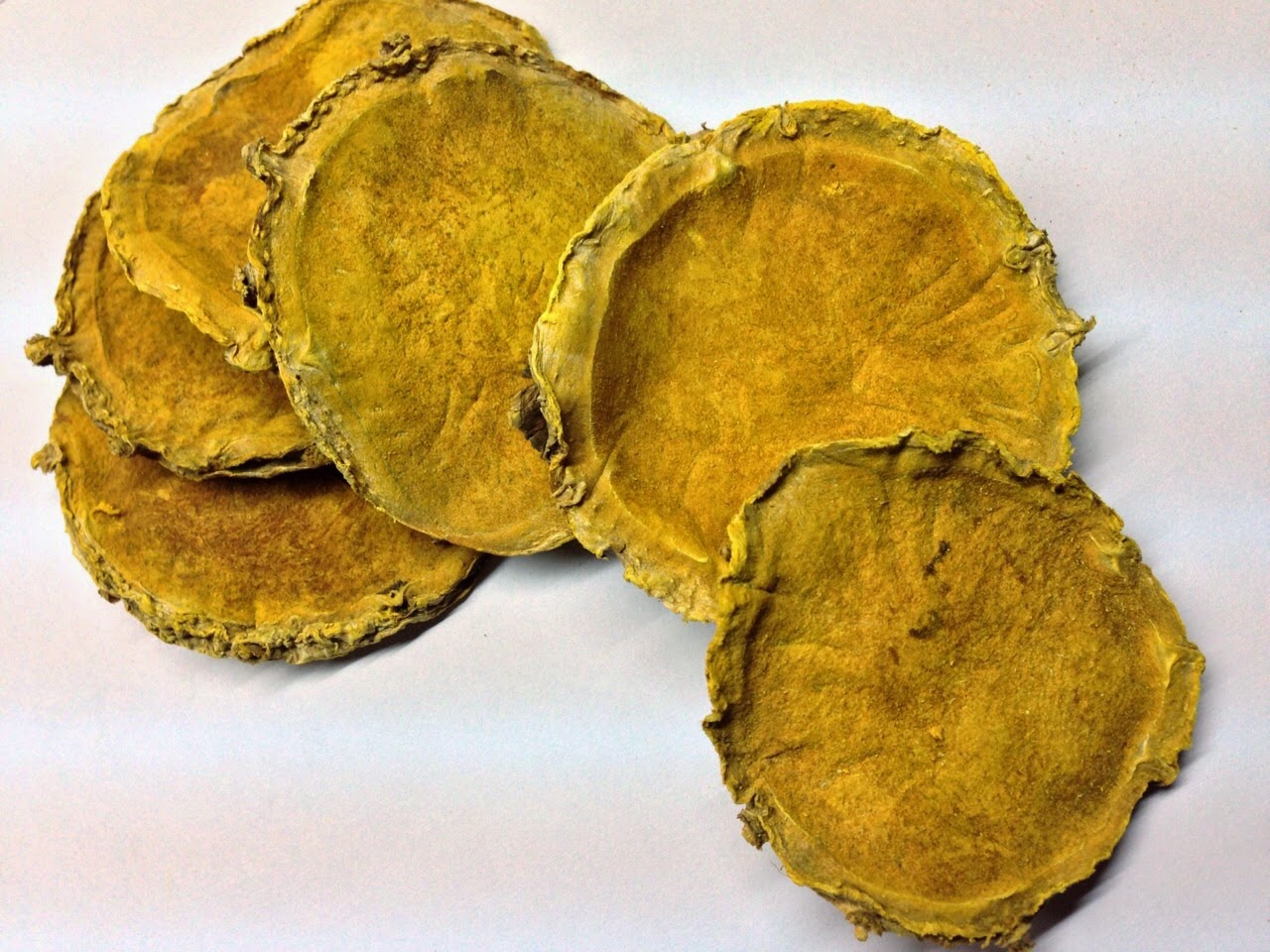 Curcuma