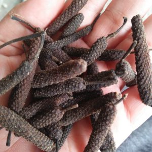 Long Pepper