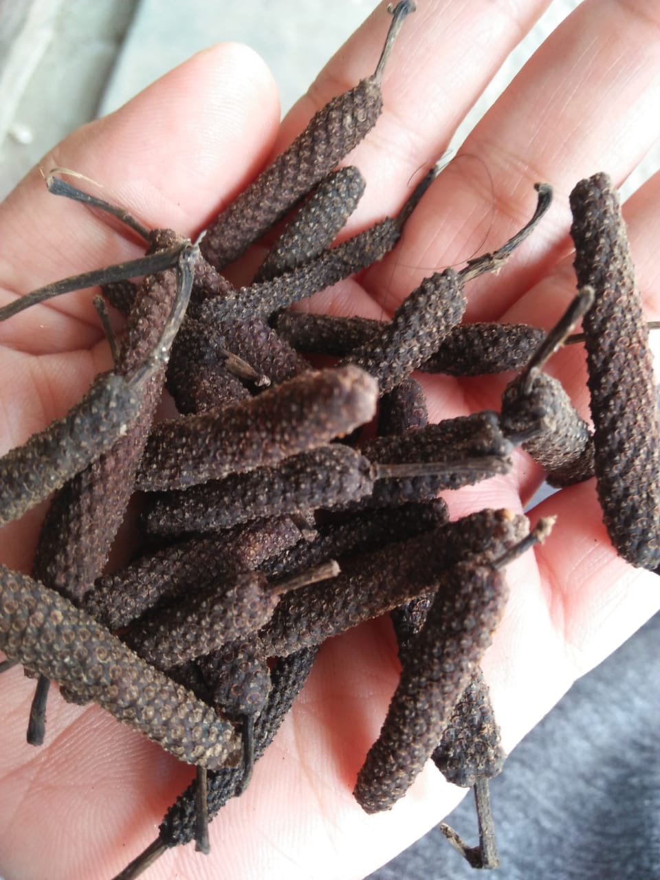 Long Pepper