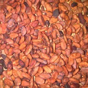Cocoa Beans