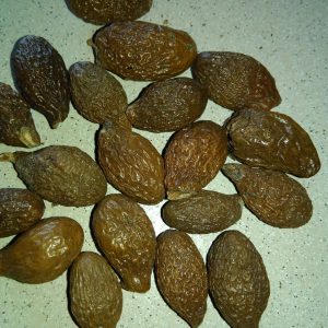 Malva Nuts