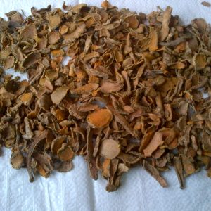Turmeric