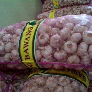 Garlic