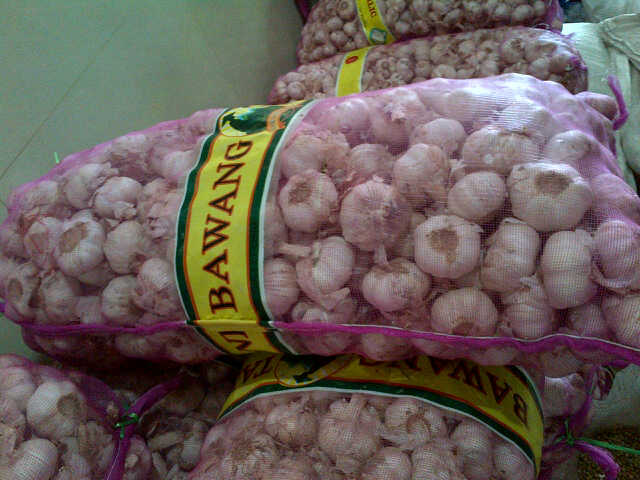 Garlic