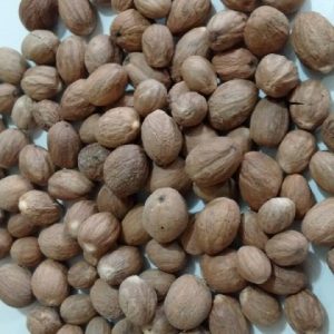 Nutmeg