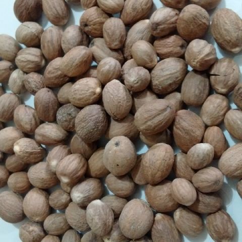 Nutmeg