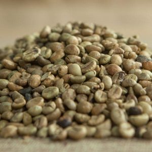 ROBUSTA S16 STANDARD