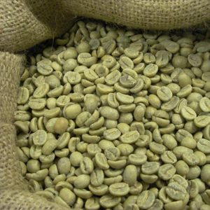 ROBUSTA S18 CLEAN