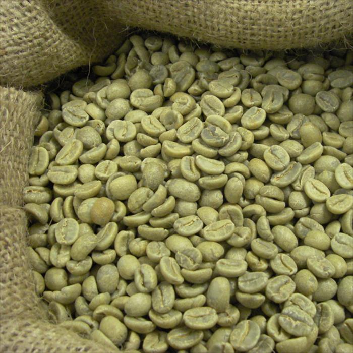 ROBUSTA S18 CLEAN