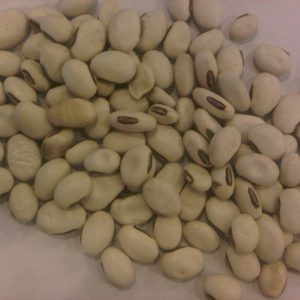 Lobia Nut