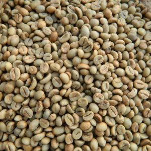 ROBUSTA S16 CLEAN