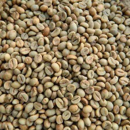ROBUSTA S16 CLEAN