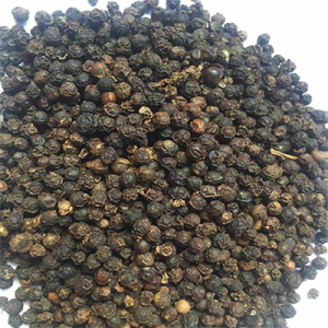 BLACK PEPPER( FAQ)