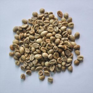 ROBUSTA S16 WET POLISHED