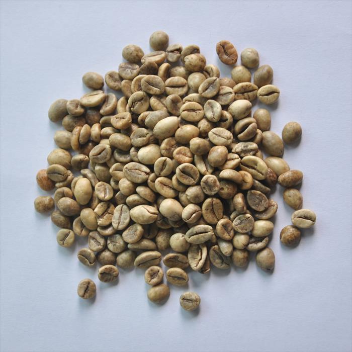 ROBUSTA S16 WET POLISHED