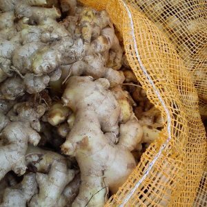 Fresh Ginger