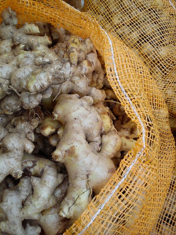 Fresh Ginger