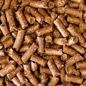 Wheat Distilled Dried Grains with Solubles Pellets (Wheat DDGS Pellets)