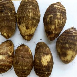 FRESH TARO