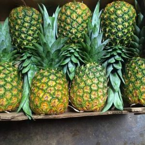 Fresh Pineapple