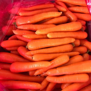 Fresh Carrots