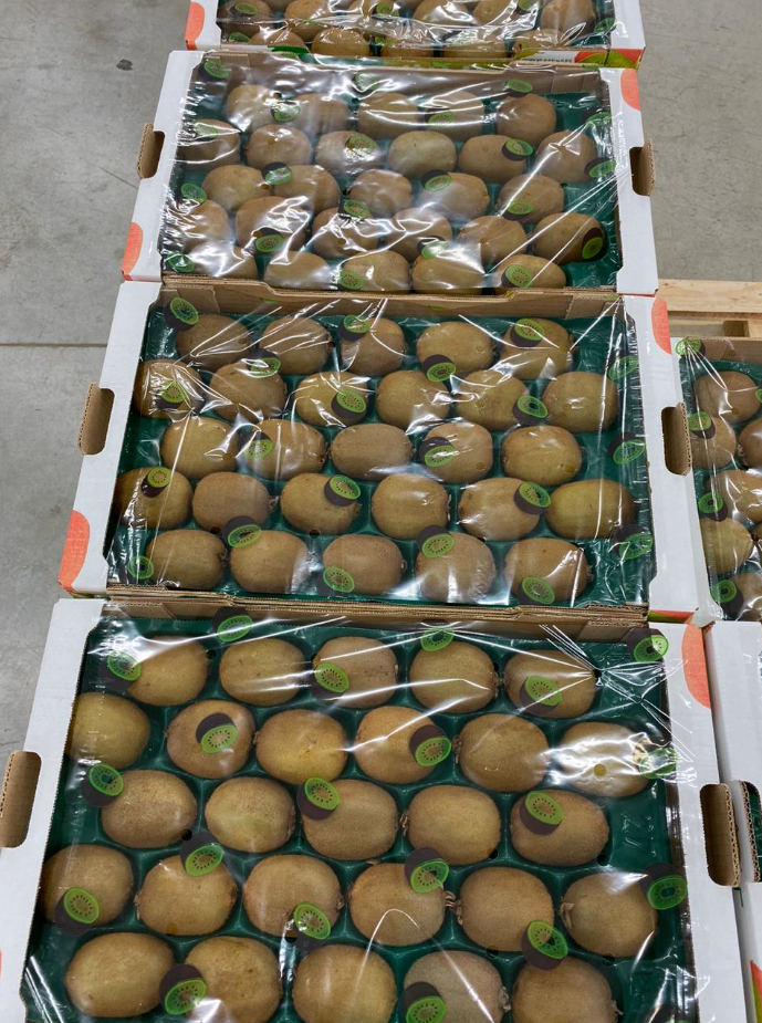 Kiwi - Image 3