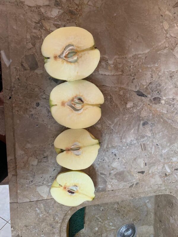 Quince - Image 3
