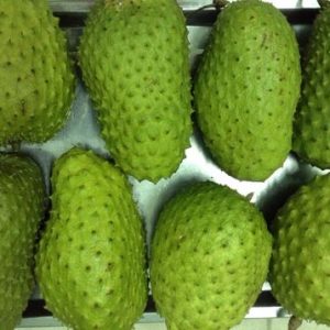SOURSOP