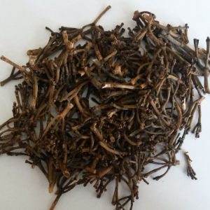 Clove Stem