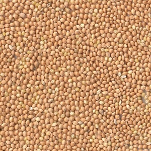 Yellow Millet