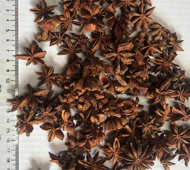 STAR ANISE