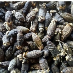 Betel nuts