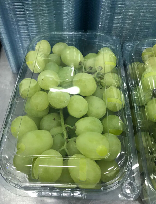 Grapes - Image 3