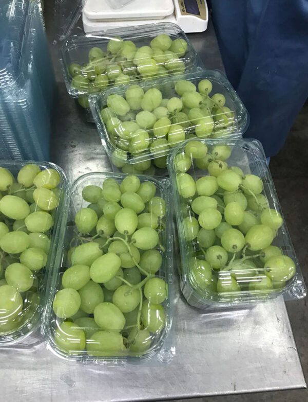 Grapes - Image 2