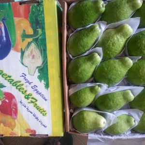 Fresh Guava