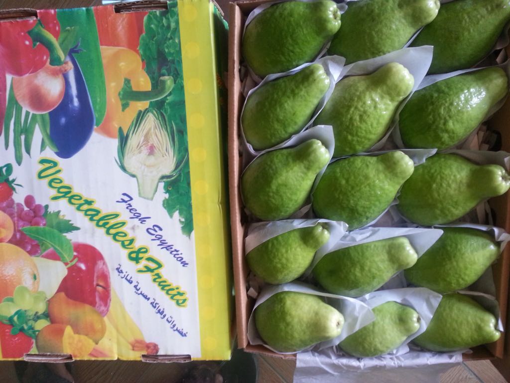 Fresh Guava